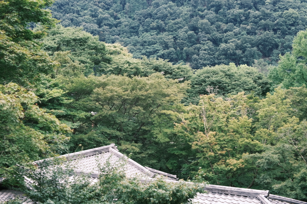 f:id:sakayuu18:20210712214839j:plain