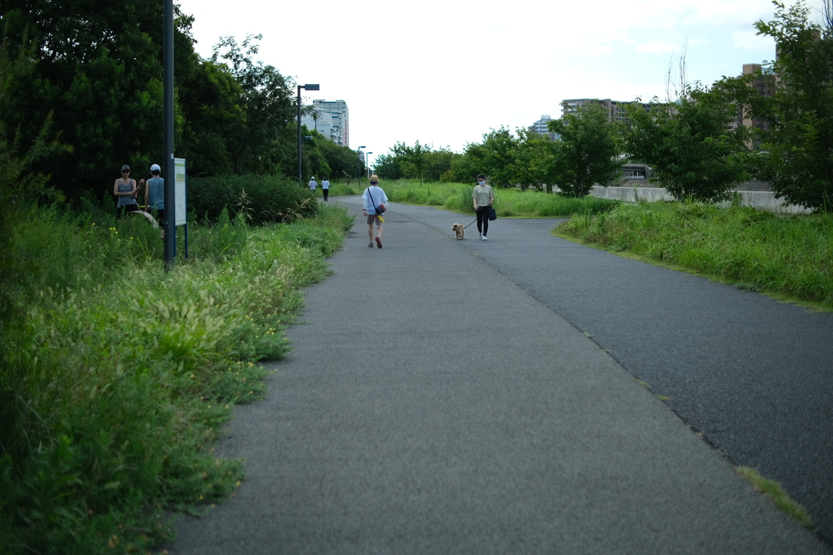 f:id:sakayuu18:20210811140438j:plain