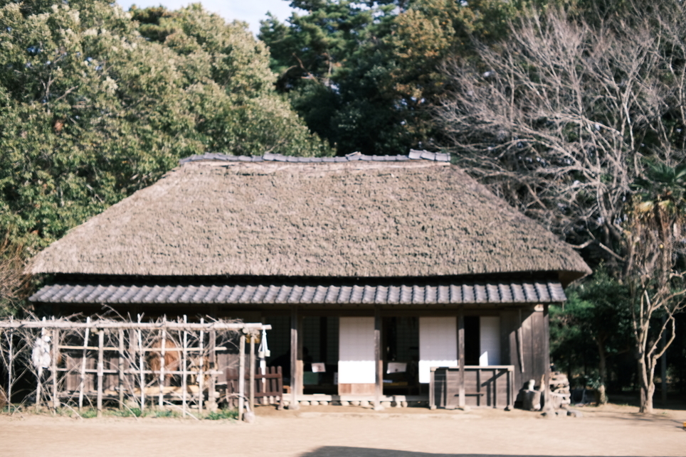 f:id:sakayuu18:20211117155437j:plain