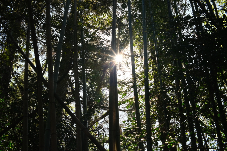 f:id:sakayuu18:20220227173623j:plain