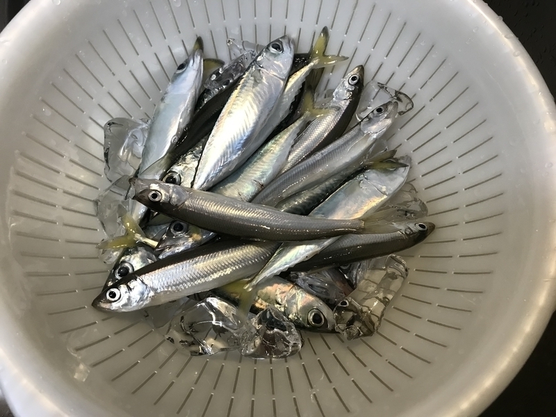f:id:sake-hugo:20181029173345j:plain f:id:sake-hugo:20181029173345j:plain