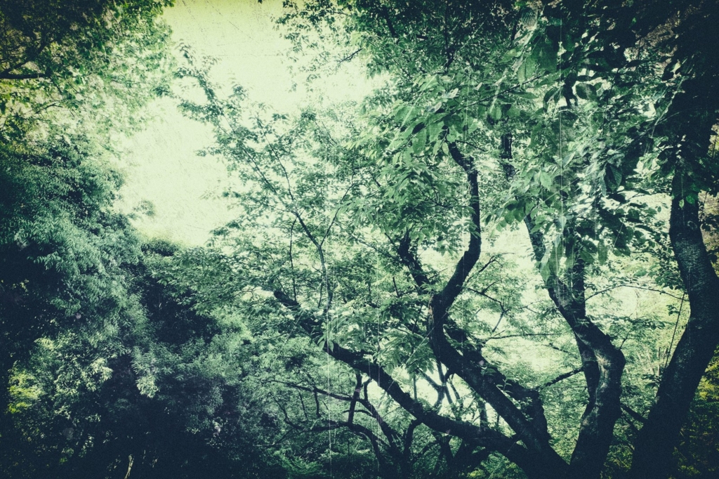f:id:sakearchive:20160915161054j:plain f:id:sakearchive:20160915161054j:plain
