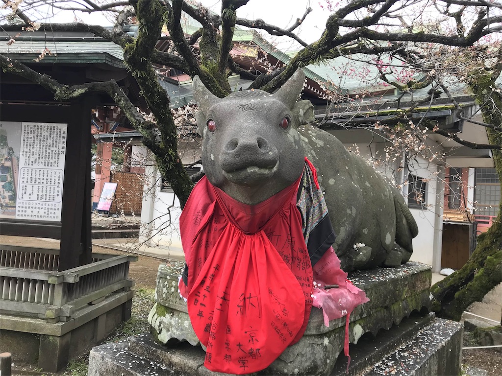 f:id:sakearchive:20190305015024j:image f:id:sakearchive:20190305015024j:image