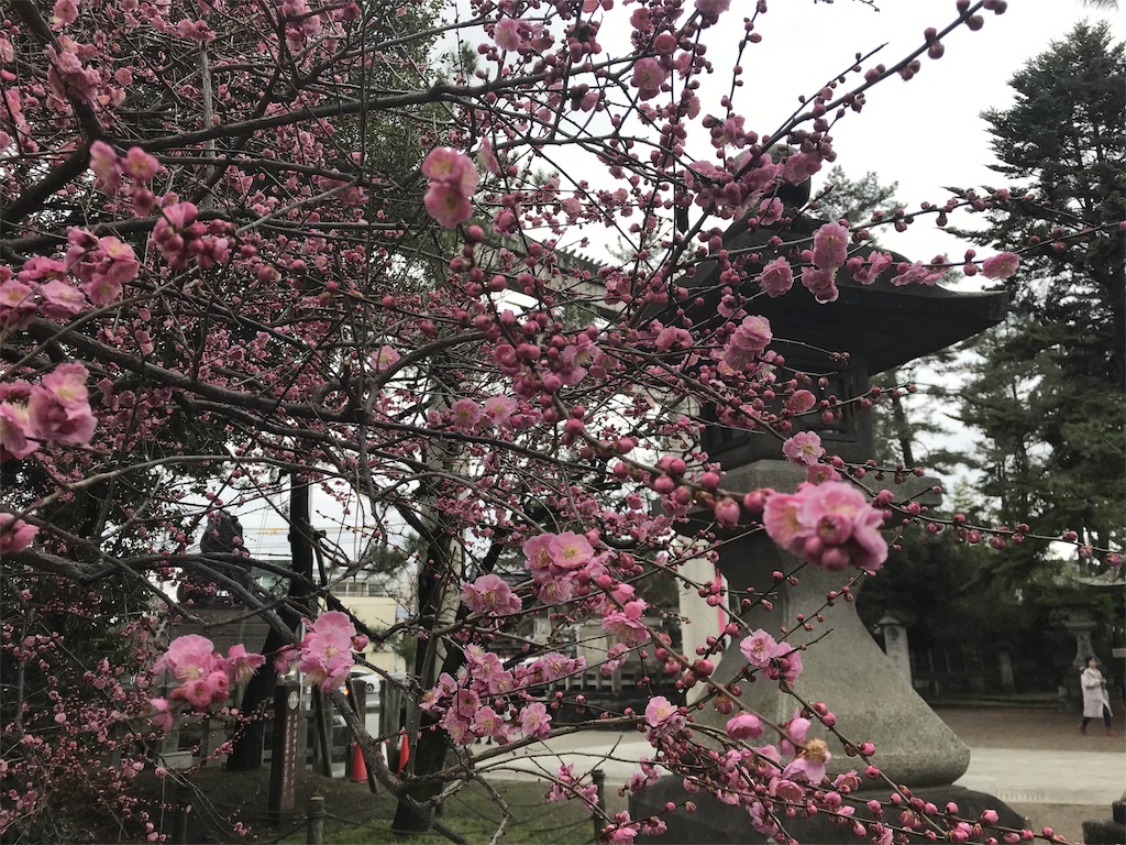 f:id:sakearchive:20190305015046j:image f:id:sakearchive:20190305015046j:image