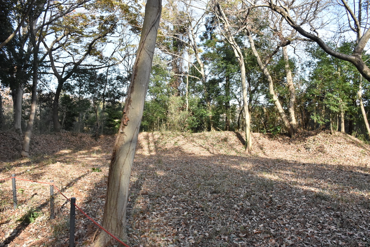 f:id:sakekopepan:20201221153913j:plain