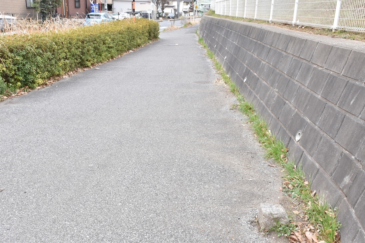 f:id:sakekopepan:20210209170200j:plain