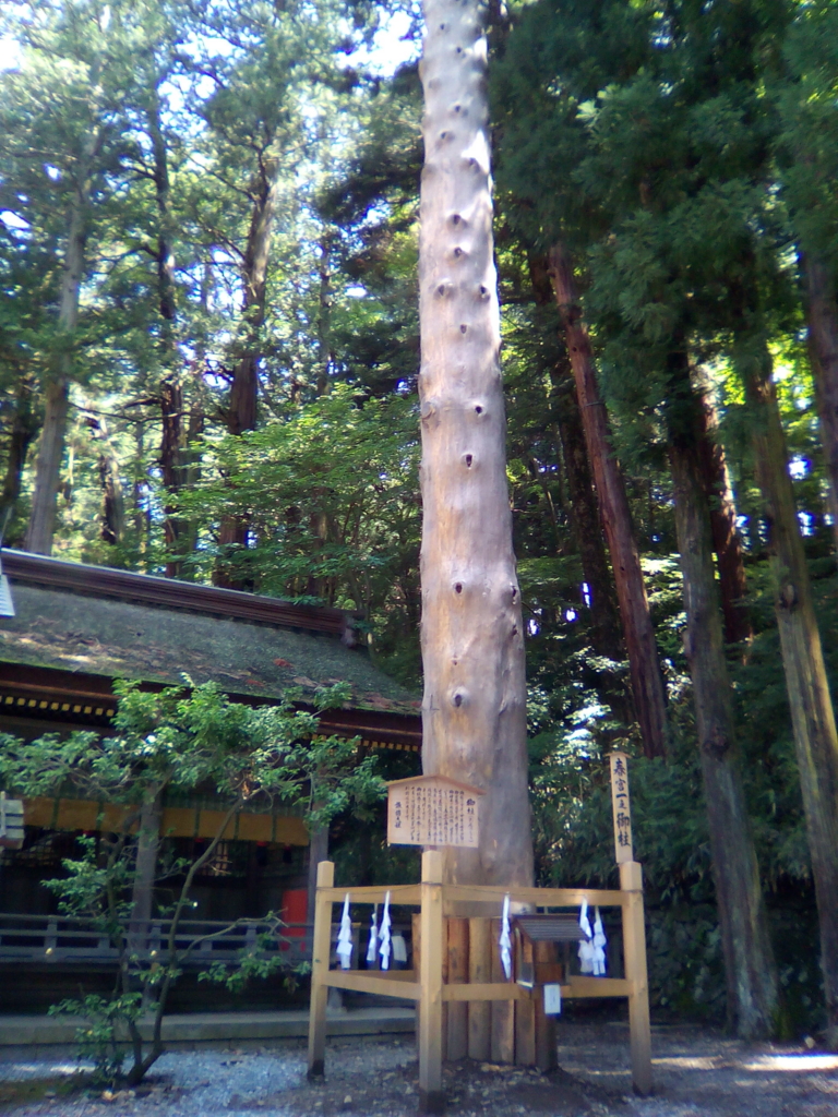 f:id:sakelog:20160809221752j:plain f:id:sakelog:20160809221752j:plain