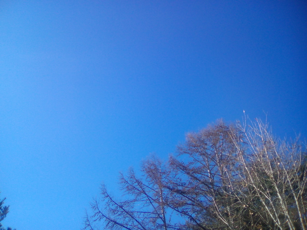 f:id:sakelog:20180221211615j:plain f:id:sakelog:20180221211615j:plain