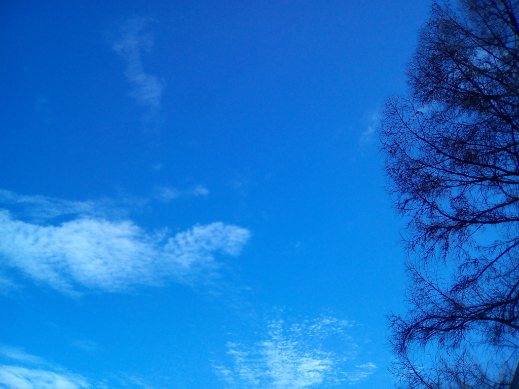 f:id:sakelog:20180302232131j:plain f:id:sakelog:20180302232131j:plain