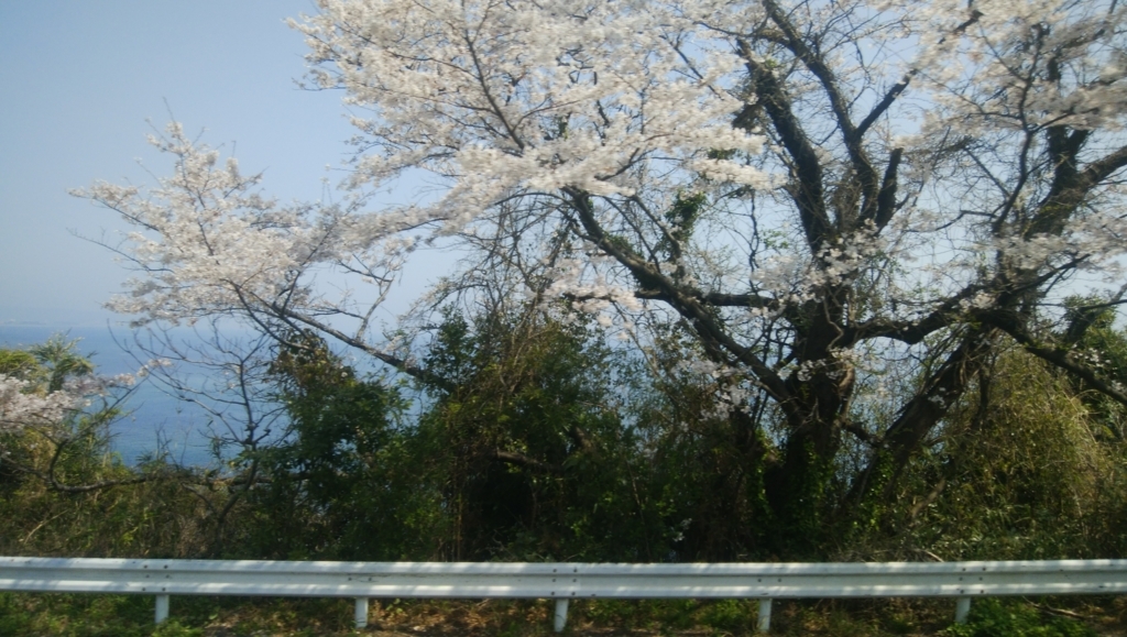 f:id:sakelog:20180331235540j:plain f:id:sakelog:20180331235540j:plain