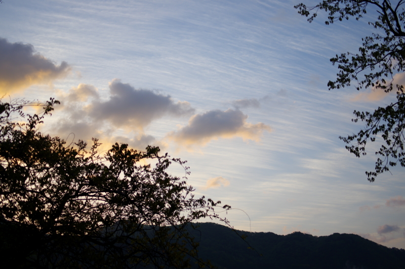 f:id:sakemaro:20150524114606j:plain