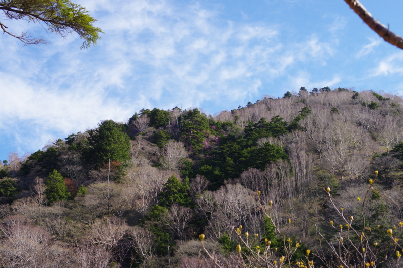 f:id:sakemaro:20150524120757j:plain