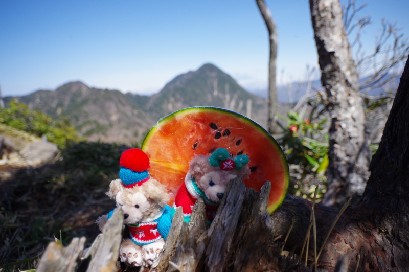 f:id:sakemaro:20150524123006j:plain