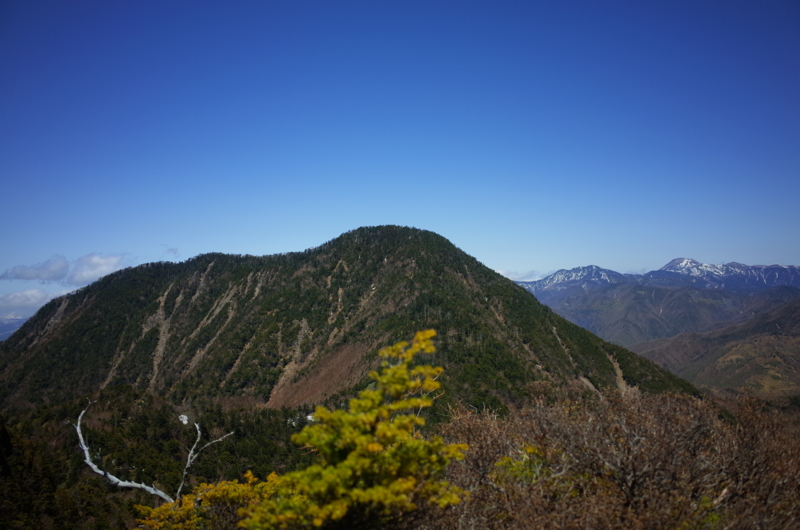 f:id:sakemaro:20150524124929j:plain
