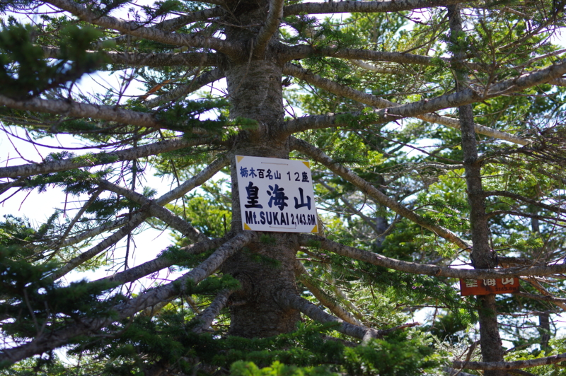f:id:sakemaro:20150524125548j:plain