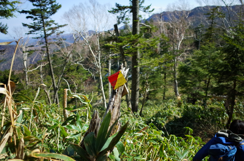 f:id:sakemaro:20150524130227j:plain