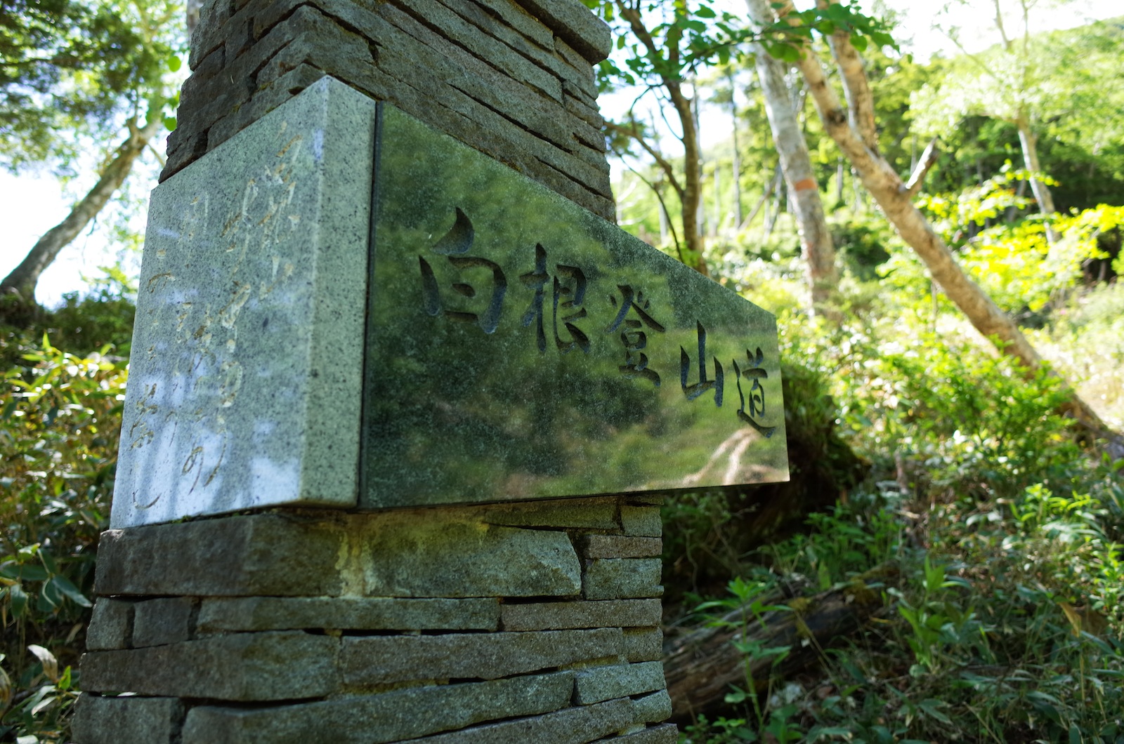 f:id:sakemaro:20150706222639j:plain
