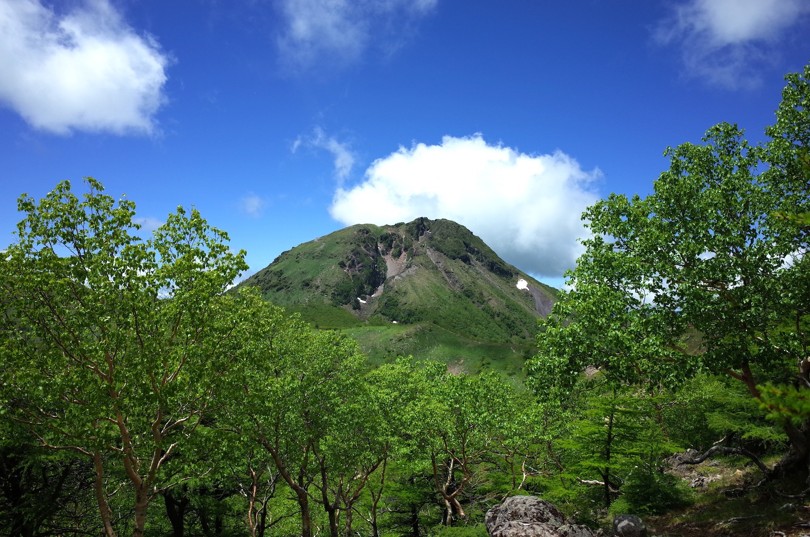 f:id:sakemaro:20150706222658j:plain