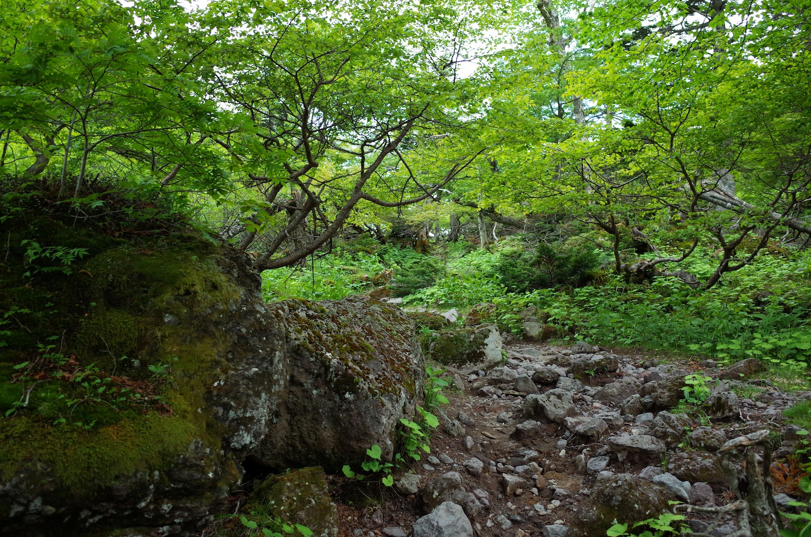 f:id:sakemaro:20150706222738j:plain
