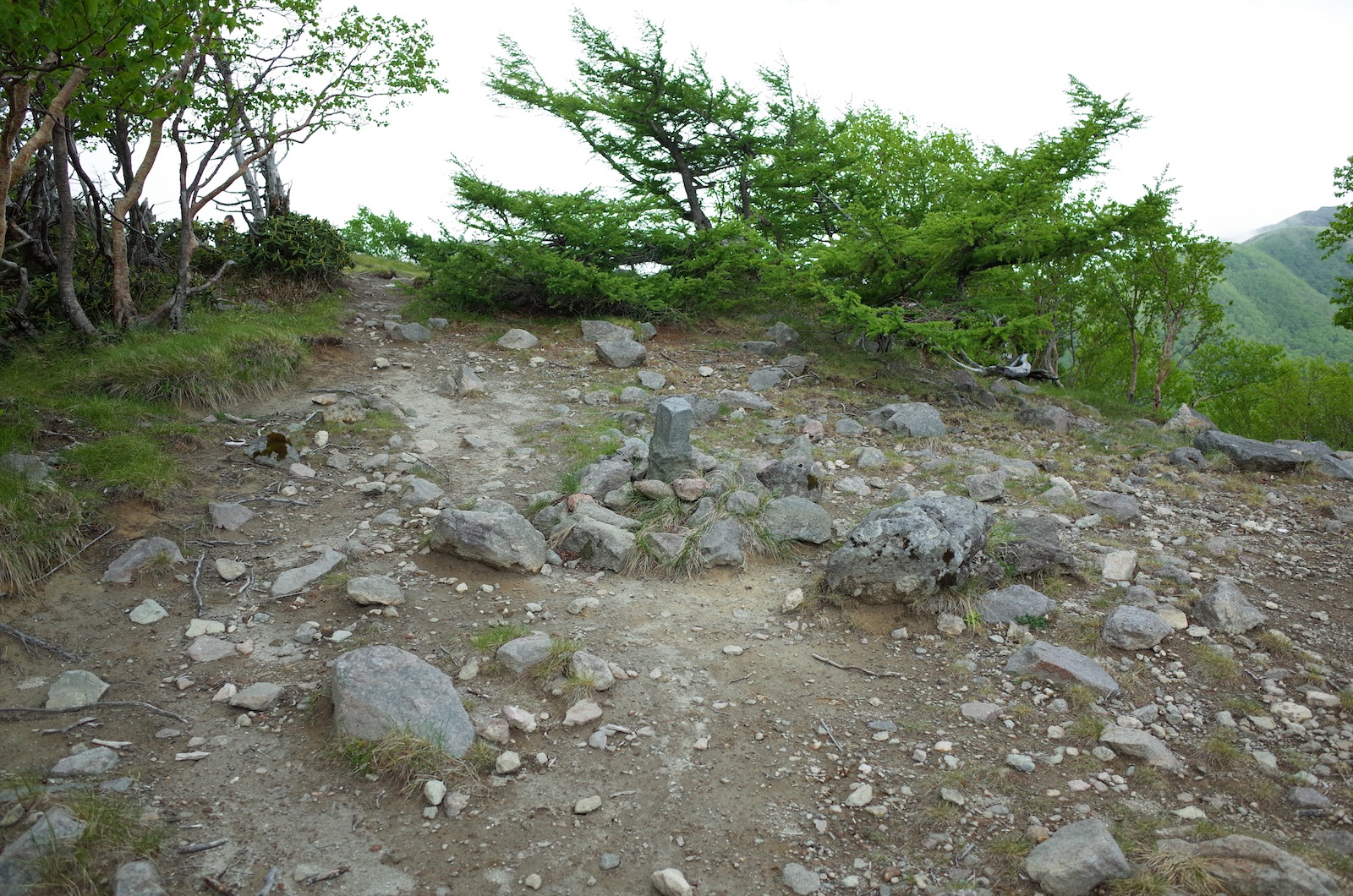 f:id:sakemaro:20150706222754j:plain