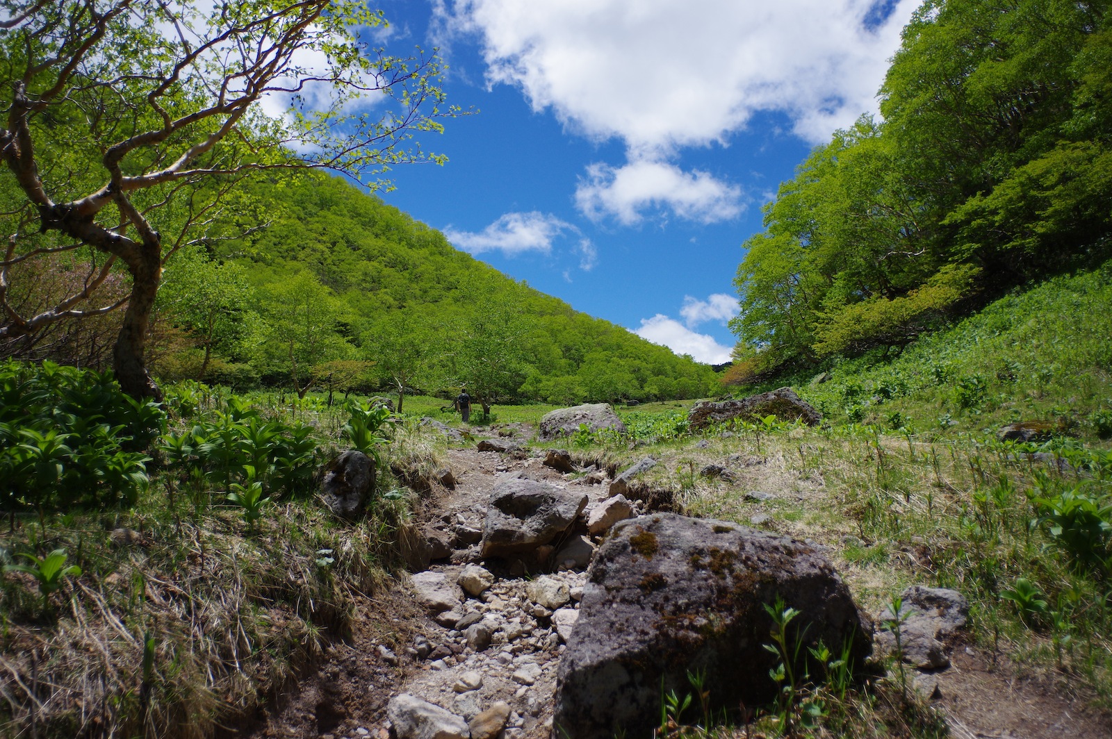 f:id:sakemaro:20150706223010j:plain