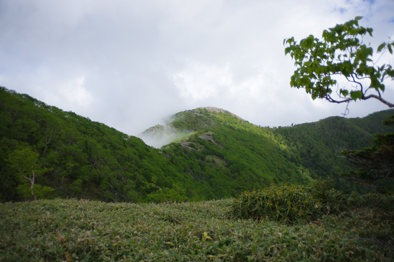 f:id:sakemaro:20150706223153j:plain