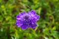 20150830182046