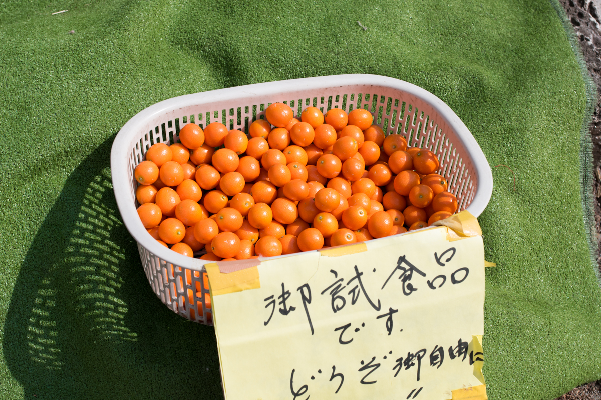 f:id:sakemaro:20160312102221j:plain