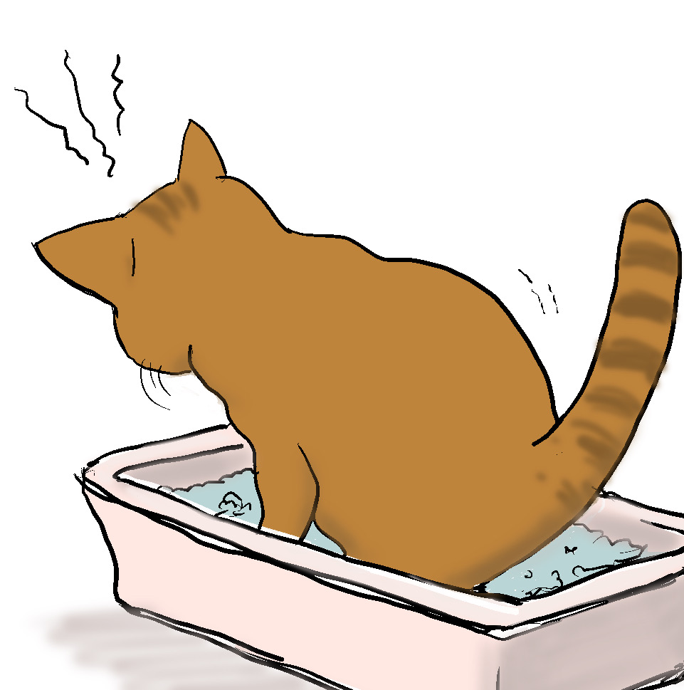 酒と肴と猫日記