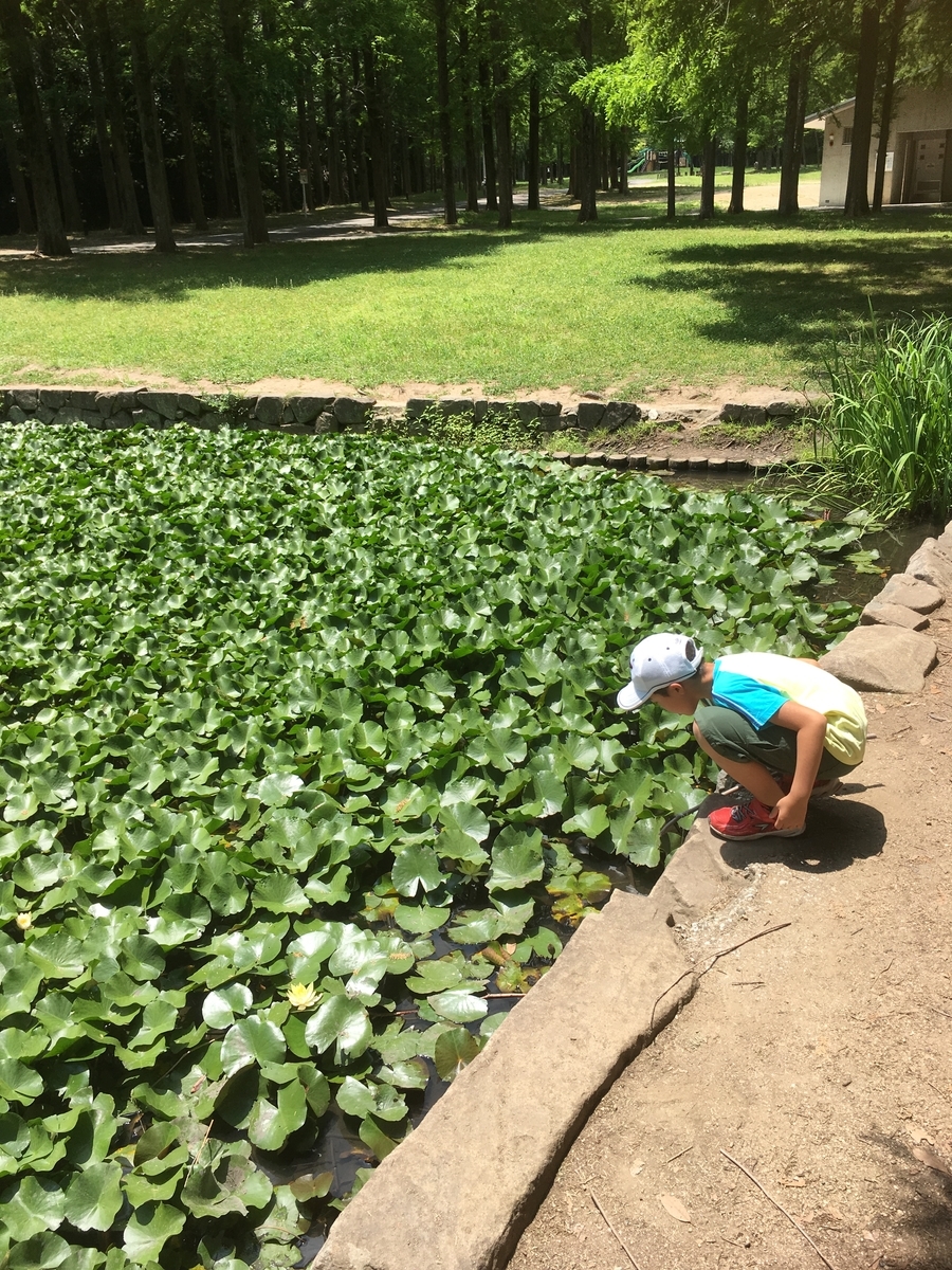 f:id:sakenoateni:20190622160845j:plain f:id:sakenoateni:20190622160845j:plain