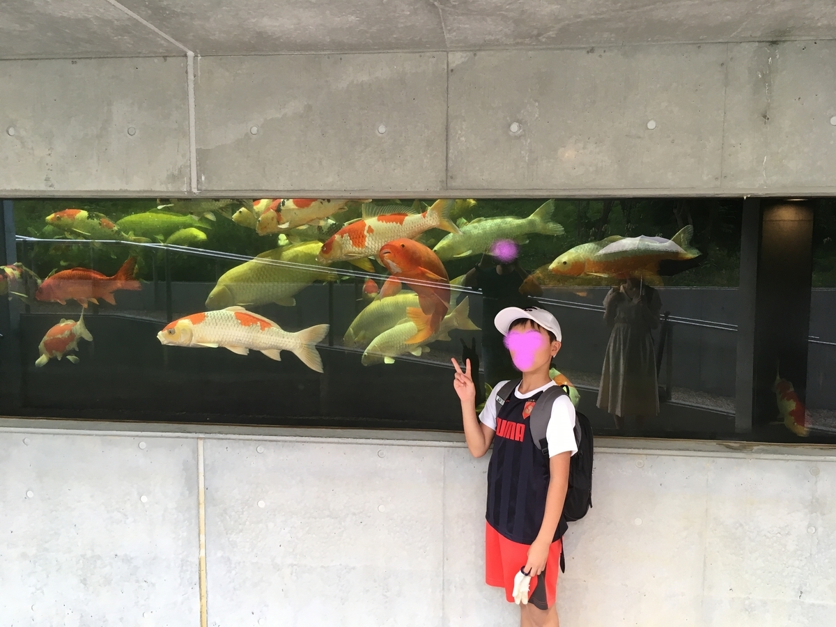 f:id:sakenoateni:20190911210616j:plain f:id:sakenoateni:20190911210616j:plain