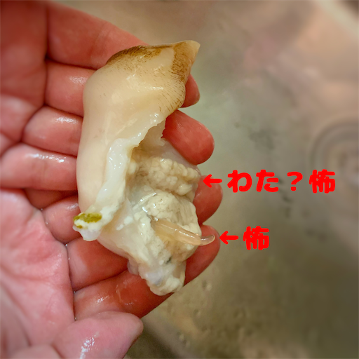 f:id:sakenomay:20210531033423p:image