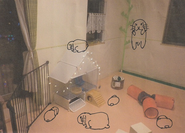 f:id:sakenomitama:20210903084723j:plain
