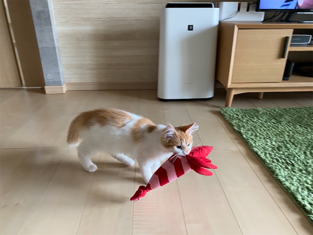 f:id:sakeroomba:20210901214428j:image