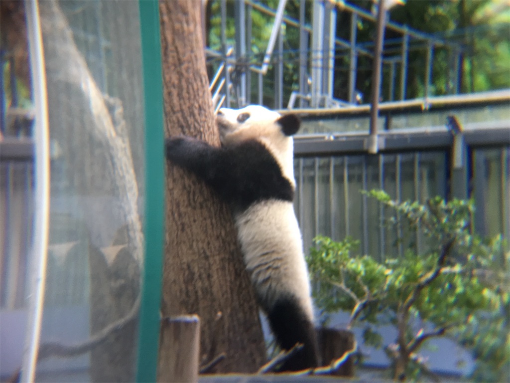 f:id:sakeumai:20180620171304j:image f:id:sakeumai:20180620171304j:image