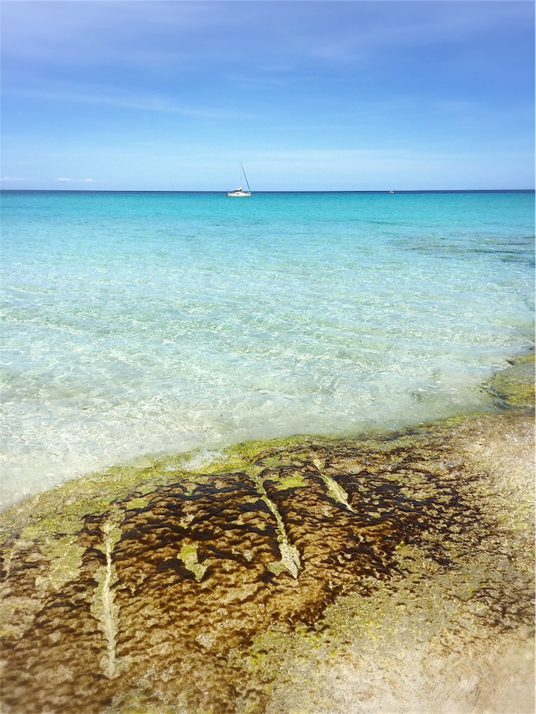 子連れでスペイン マヨルカ島 Moin Moin北ドイツに暮らす 南ドイツで暮らしはじめました