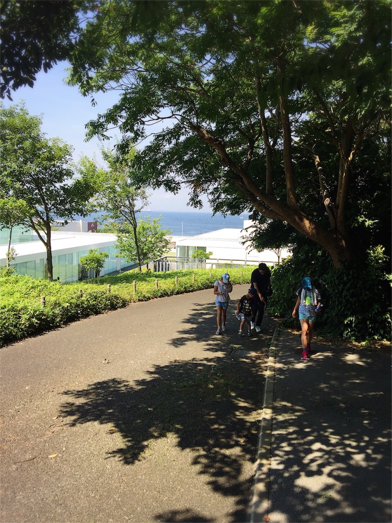 f:id:saki-bianca:20180714201313j:image