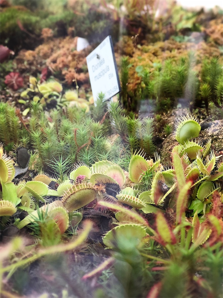 f:id:saki-bianca:20181010053721j:image f:id:saki-bianca:20181010053721j:image