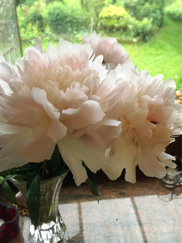 f:id:saki-bianca:20190611051442j:image