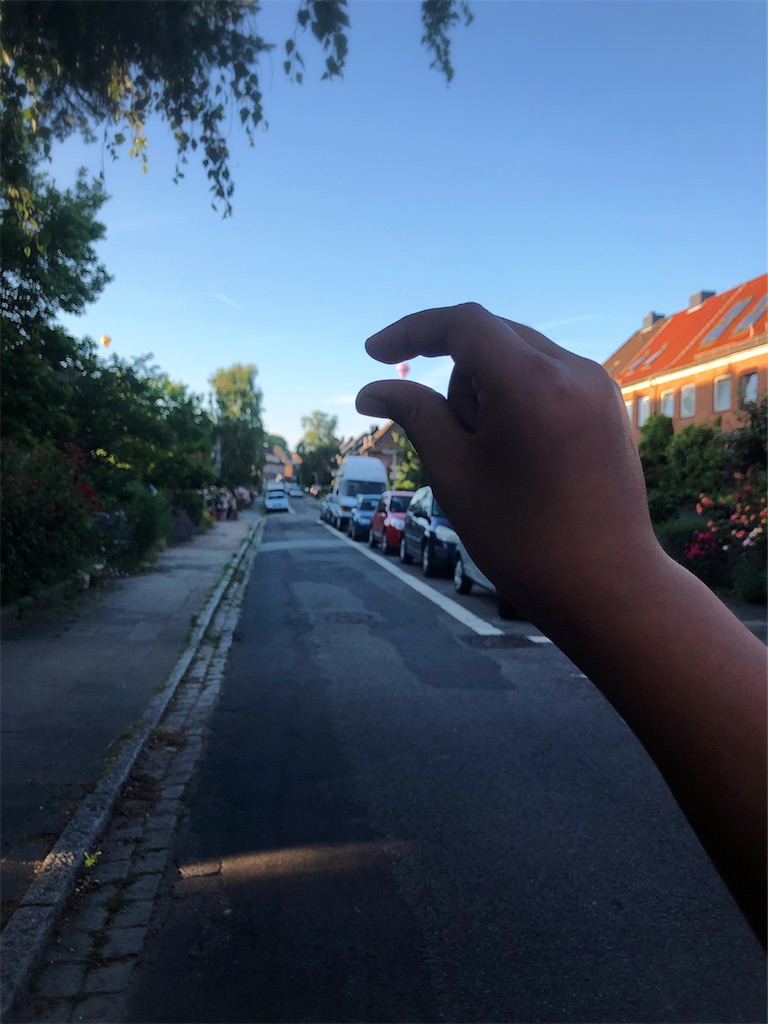 f:id:saki-bianca:20190629165631j:image