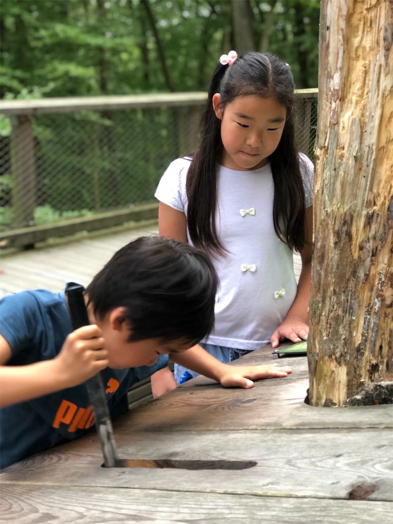 f:id:saki-bianca:20190804063001j:image