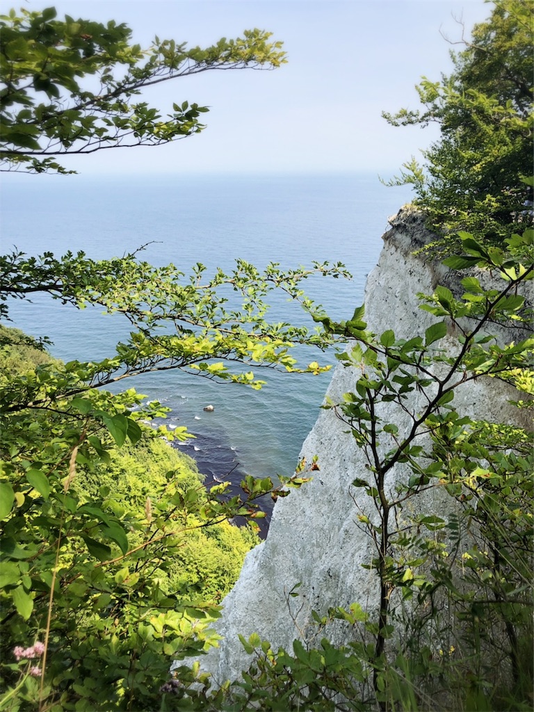 f:id:saki-bianca:20190810021341j:image