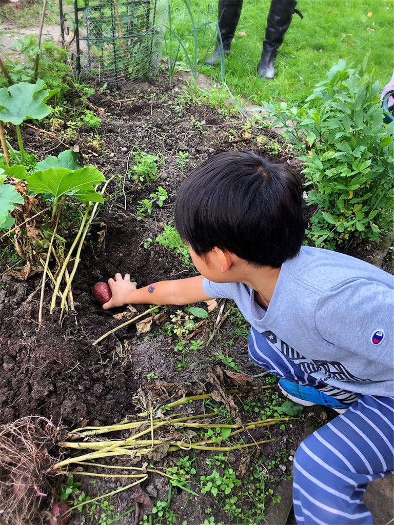 f:id:saki-bianca:20190909022726j:image f:id:saki-bianca:20190909022726j:image