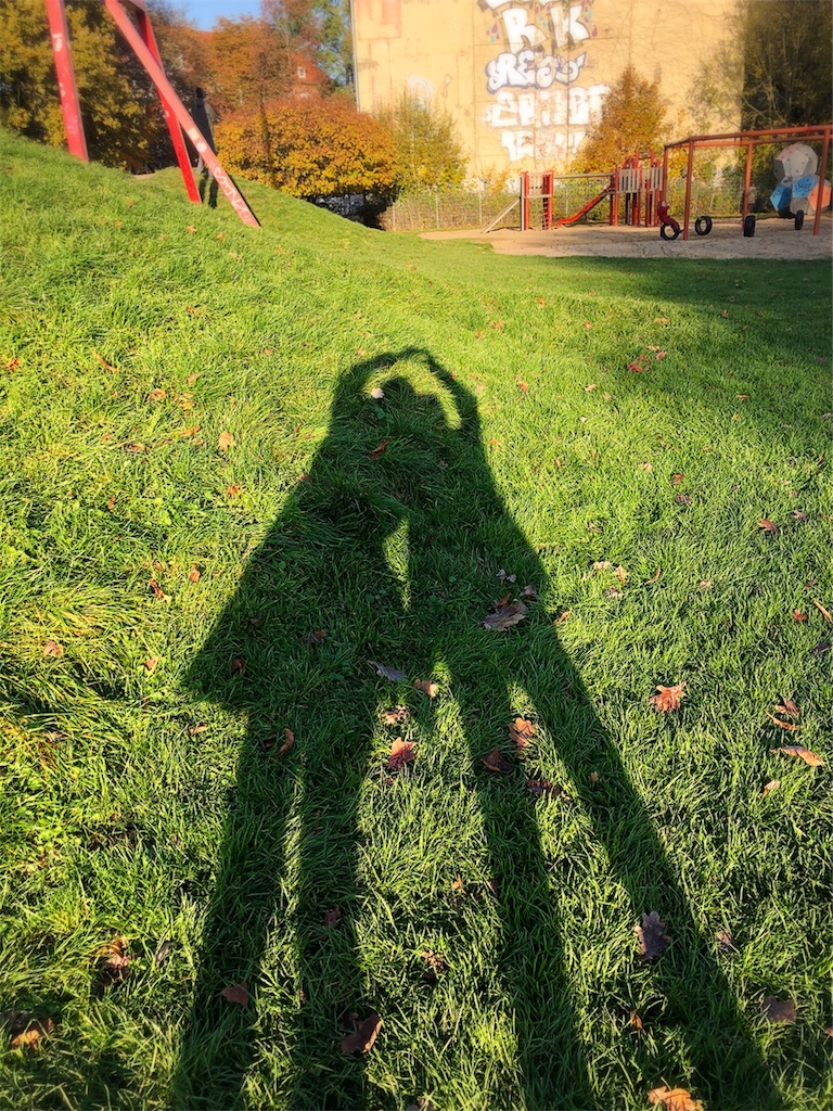 f:id:saki-bianca:20191112001126j:image