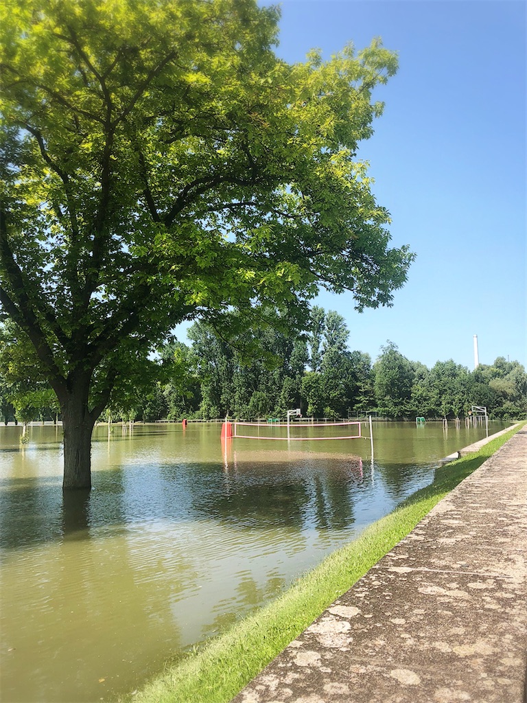 f:id:saki-bianca:20210718223909j:image f:id:saki-bianca:20210718223909j:image