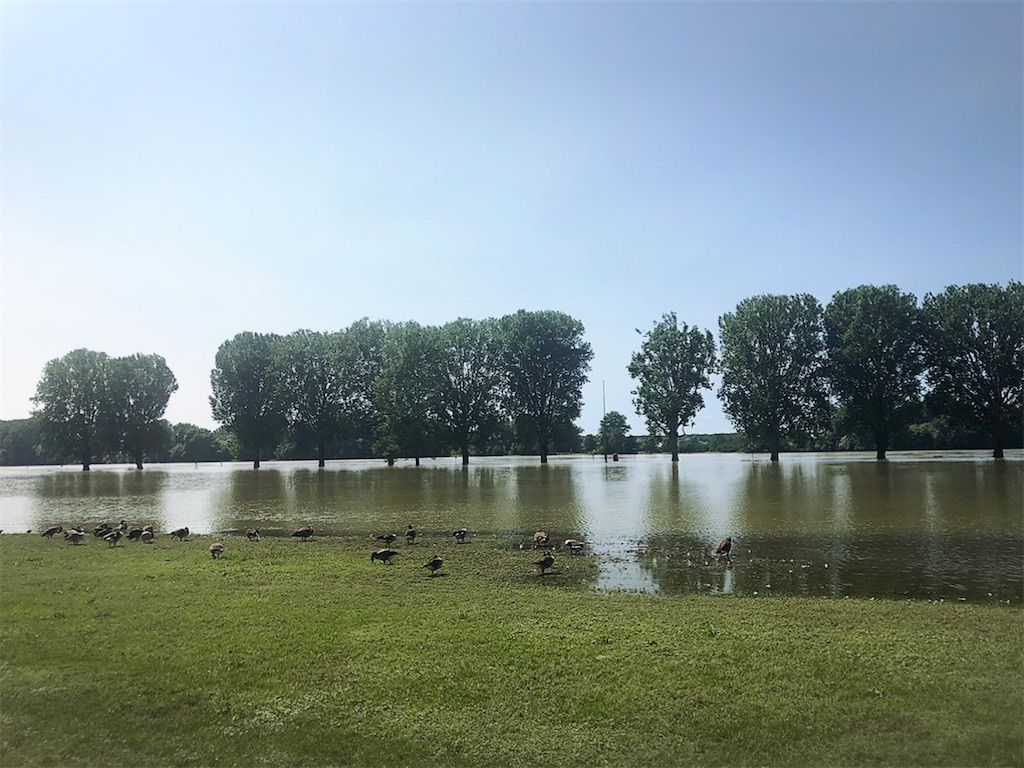 f:id:saki-bianca:20210718223943j:image f:id:saki-bianca:20210718223943j:image