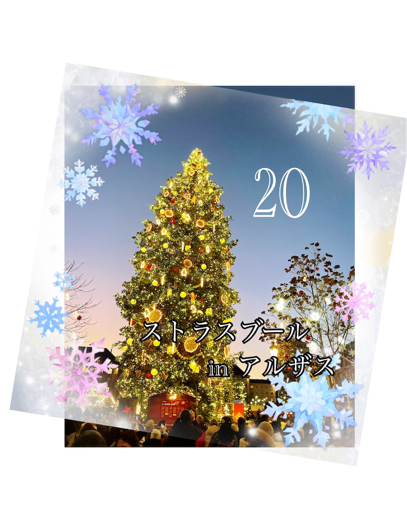 f:id:saki-bianca:20231220043049j:image f:id:saki-bianca:20231220043049j:image