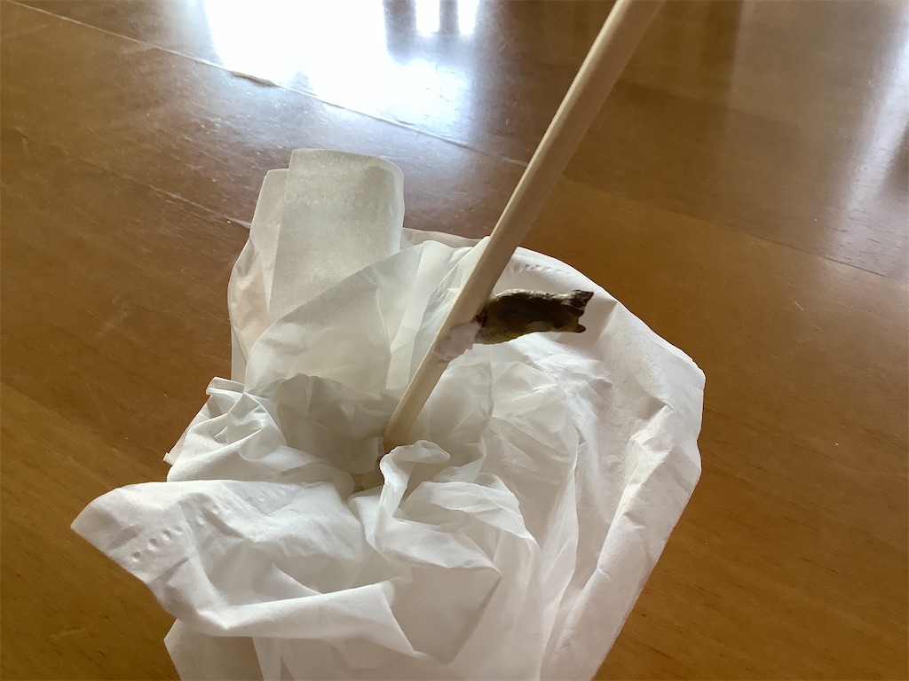 f:id:saki-compass:20220524165939j:image