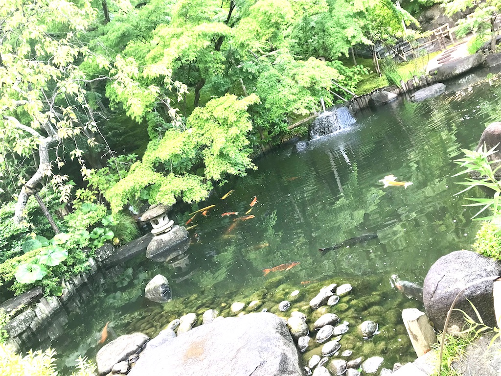 f:id:saki-compass:20220604192757j:image