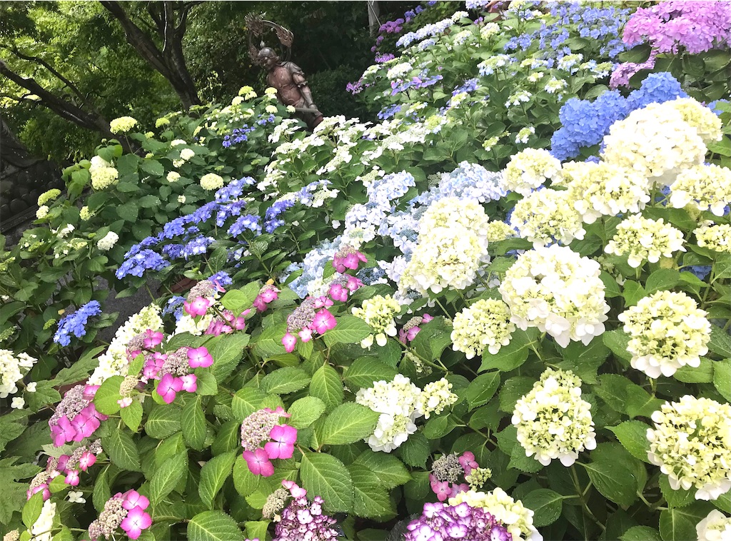 f:id:saki-compass:20220604192808j:image